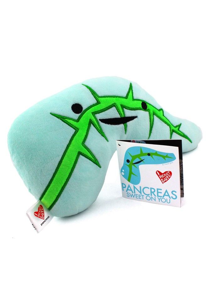 I Heart Guts Pancreas Plush Sweet On You! 11" Organ Stuffed Toys For Diabetic Gifts Endocrinology Residents Med School Professors - Image 3