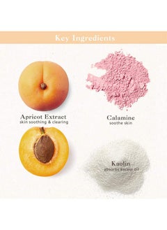 SKIN FOOD since 1957 Skinfood Mask Apricot Trouble Care 120G Facial Pore Clearing And Body Skin Soothing Wash Off Face Masks Clear & Smooth Skin Showerproof Texture (4.23 Oz)  - Image 2