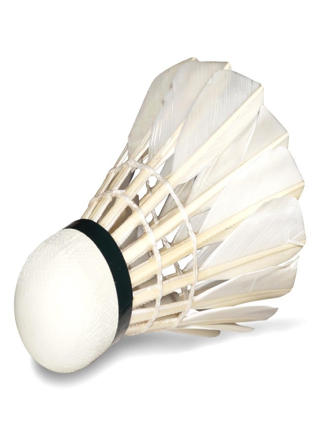 فينكس كرات ريشة فينكس بيسر المصنوعة من ريش البط - عبوة من 12 كرة | كرات ريشة ممتازة للتدريب والمبتدئين | متينة، طيران مستقر وأداء ثابت - Image 2