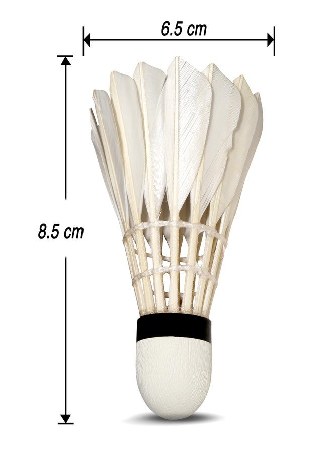 فينكس كرات ريشة فينكس بيسر المصنوعة من ريش البط - عبوة من 12 كرة | كرات ريشة ممتازة للتدريب والمبتدئين | متينة، طيران مستقر وأداء ثابت - Image 3