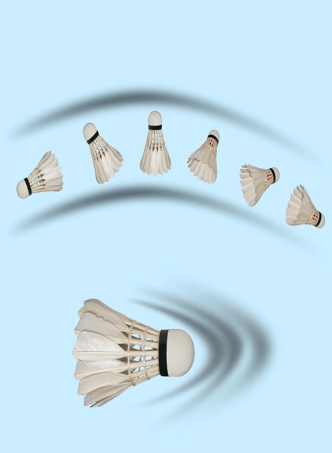 فينكس كرات ريشة فينكس بيسر المصنوعة من ريش البط - عبوة من 12 كرة | كرات ريشة ممتازة للتدريب والمبتدئين | متينة، طيران مستقر وأداء ثابت - Image 4