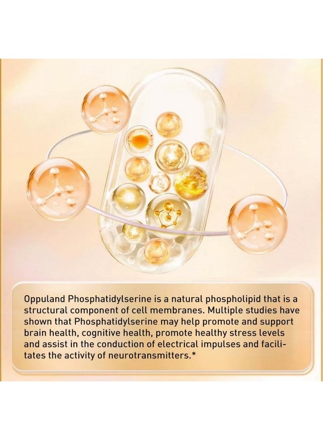 oppuland Phosphatidylserine with PQQ 30 Veggie Capsules,Phosphatidylserine Supplement | Improves Nerve Cells & Brain Memory - Image 3