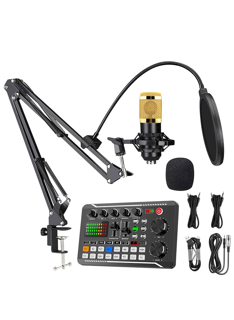 Generic Cross-border English version F998 live broadcast sound card equipment mobile phone computer universal condenser microphone bracket full set F998 sound card + bm800 cantilever set 