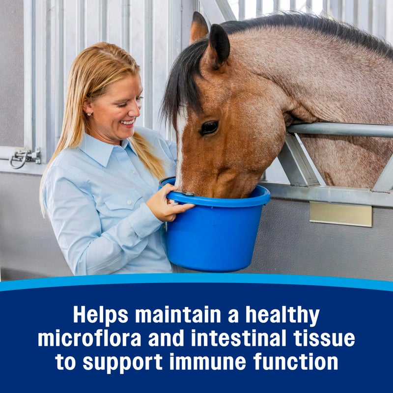 Farnam Hindgut Stabilizer Pellets, Daily Digestive & Immune Supplement for Horses Helps Maintain a Balanced Microbiome for Optimal Digestion - Image 5