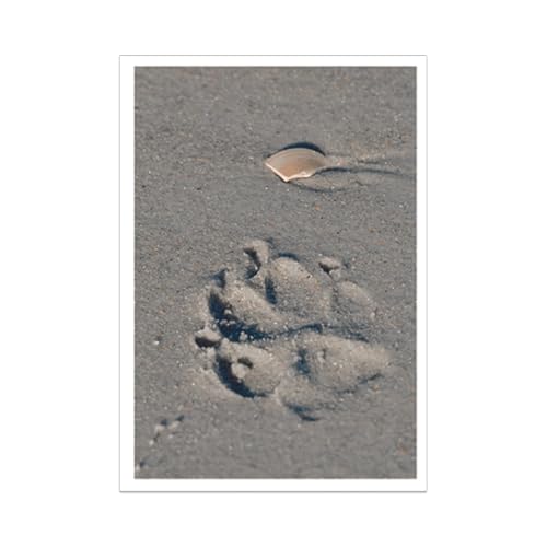 Dog Speak Pet Sympathy Card Paw Print in the Sand Pet Loss Condolence & Remembrance Card for Dog Owner - Image 3