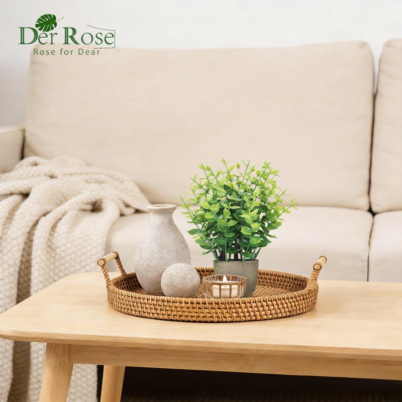 Der Rose 4 Pack Mini Artificial Plants Indoor in Pots Mixed Fake Plants Greenery Set for Bathroom Decor Shelf Counter Styling Office Desk Farmhouse Room Decor - Image 4