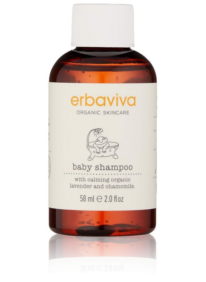 Baby Shampoo 2 Fl Oz - pzsku/ZDB6E56838AC674C20590Z/45/_/1720080534/8355f5a1-4189-4c60-8485-d9332e5e1c63