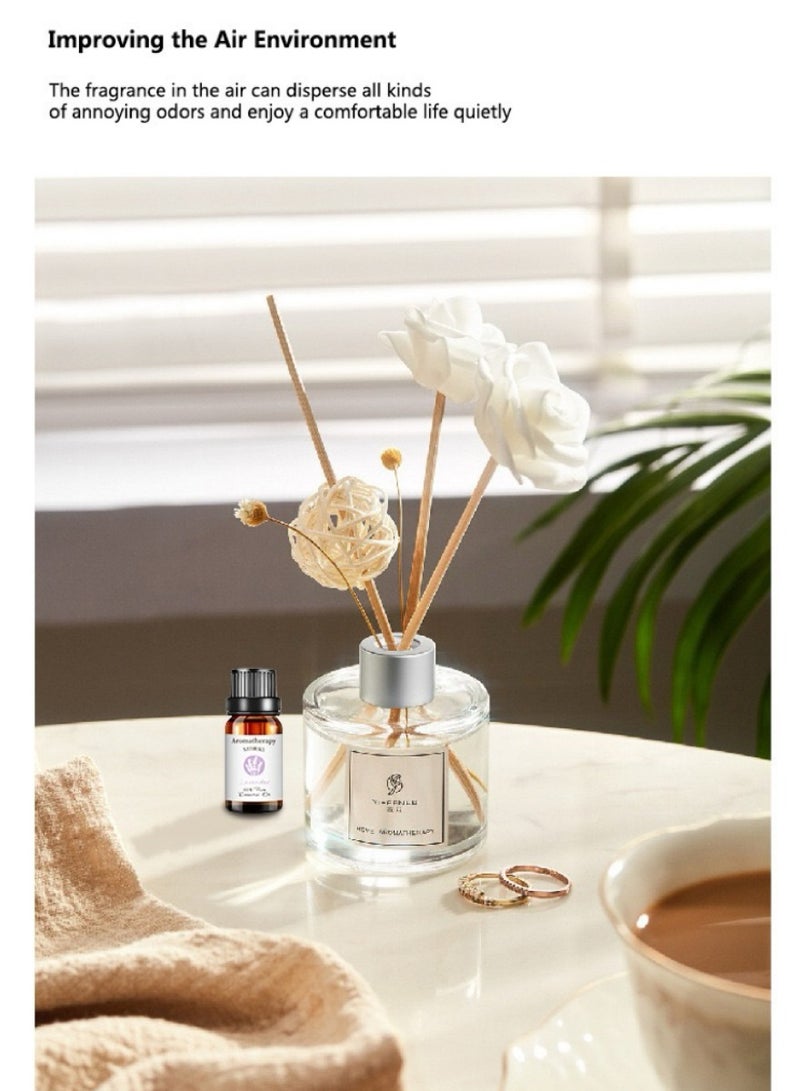 6-PCS Premium Aromatherapy Essential Oil Set, Plant Extract 10ml*6 - Image 3