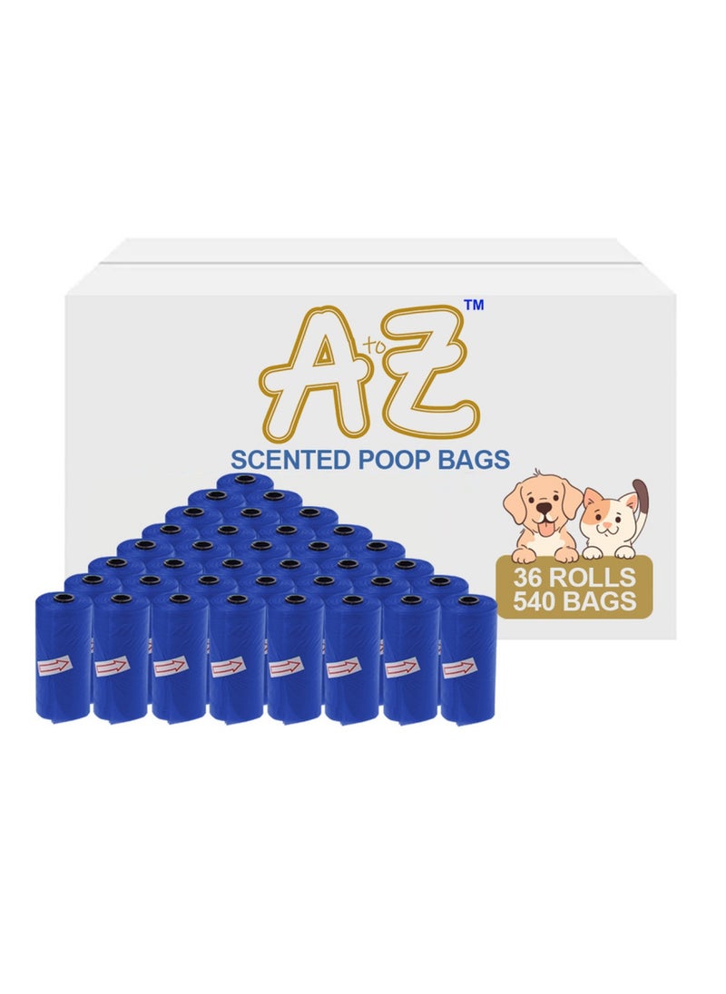 A TO Z A To Z - Scented Bag Pack Of 36/540 Bags - Navy Blue  - Image 1