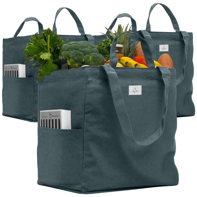 Nook Theory 3 Pcs Reusable Grocery Bags  Heavy Duty Canvas Bags Large Reusable Shopping Bag Picnic 100 Cotton Ocean