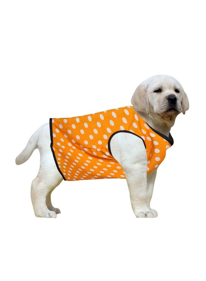 Western Era Funky Soft Cotton Dog T-Shirt, Comfortable Dog Clothing, Sleeveless Vest Puppy Outfit, Apparel (Polka Orange) (Xsmall) (12 Inches) - Image 1