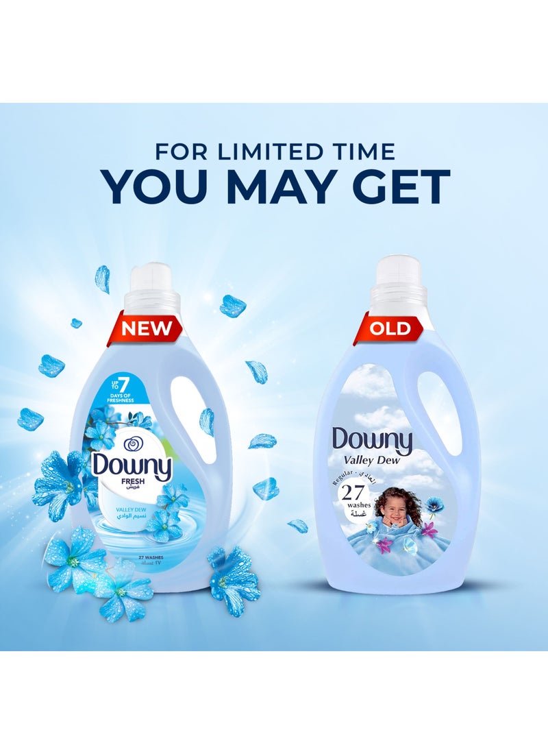 Downy Valley Dew Regular Fabric Softener Dilute - Image 2