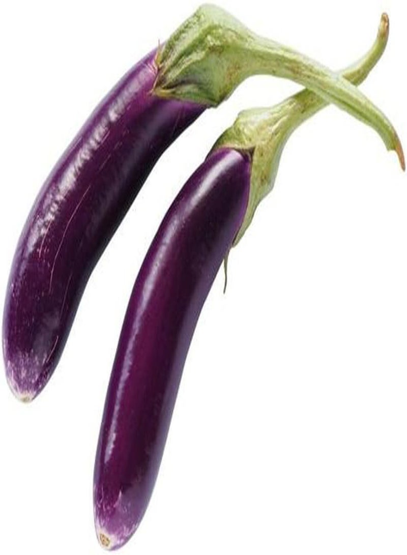 GGOOT Long Purple Aubergine - Solanum melongena 'Long Purple' Vegetable Seeds, Also Known as Long Purple Eggplant Home Garden Planting by Heavy Torch, 900 Seeds