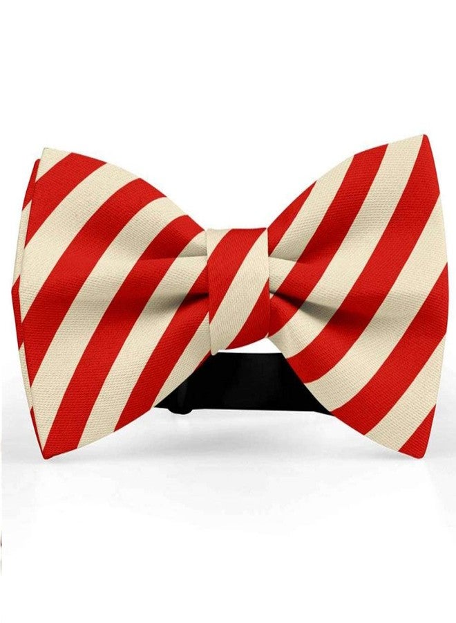 RR Design Silk Cute Soft Dog with Bowtie, Detachable Adjustable Bow Tie Collar Pet Gift - Red Stripes (L), 1 Count - Image 1
