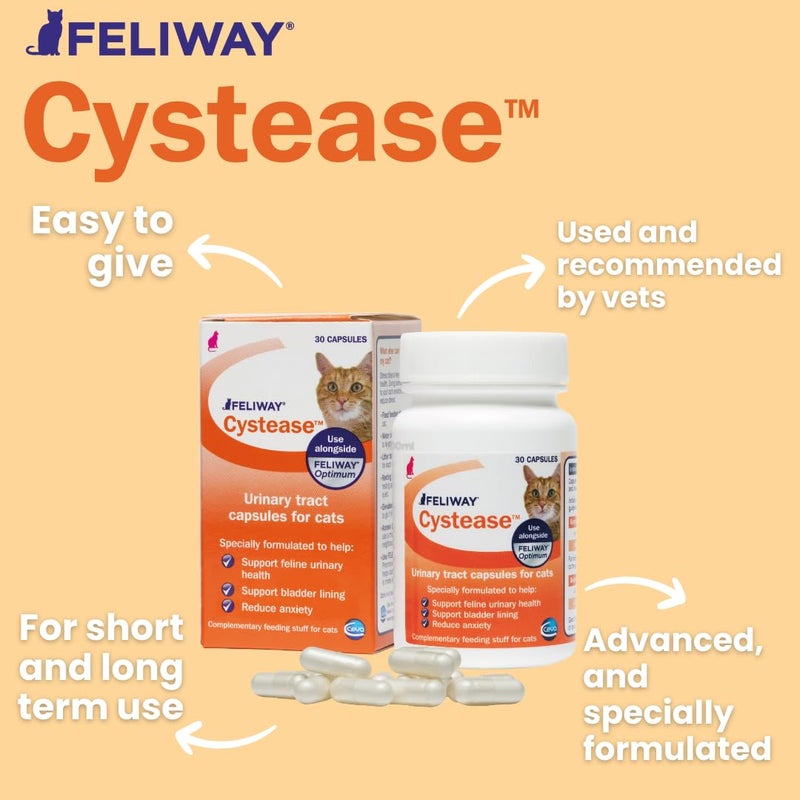 FELIWAY Cystease دعم متقدم للجهاز البولي للقطط (حجم العبوة: 30 قرص) - Image 2