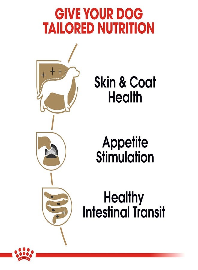 Royal Canin Breed Health Nutrition Yorkshire Terrier Adult Loaf in Sauce Dog Food, 3 oz (Pack of 6) - Image 4