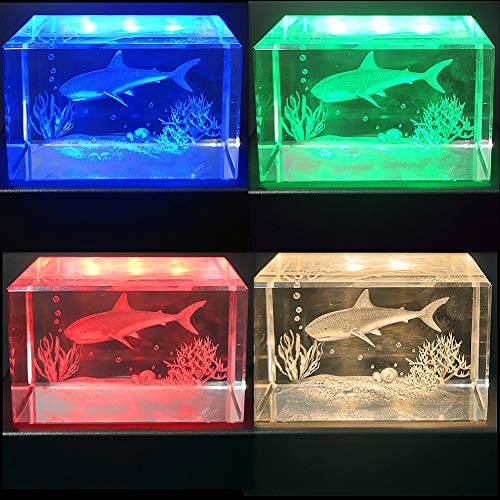 EUSTUMA LED Light Base Rectangle Display Stand In A Variety of Colors,Lighted Up Stand Color Changing Small LED for 3D Glass Crystal Art,Holiday Party Decoration. (Black, Small) - Image 4