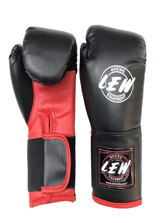 LEW 10OZ Black/Red Training Boxing Gloves - Image 1
