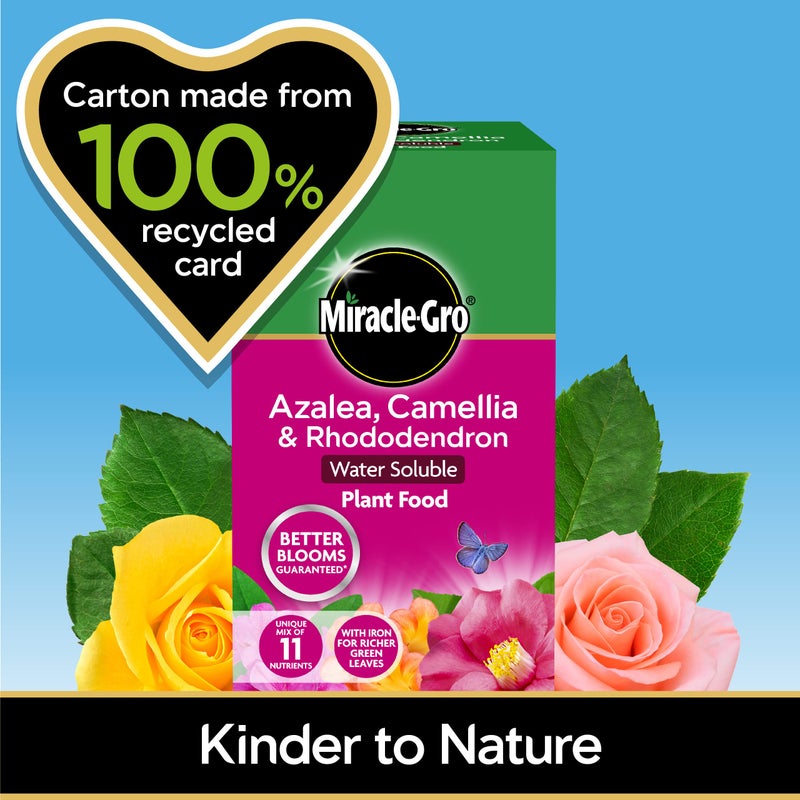 Miracle-Gro 16803 Azalea, Camellia & Rhododendron Soluble Plant Food 1 kg - Image 4