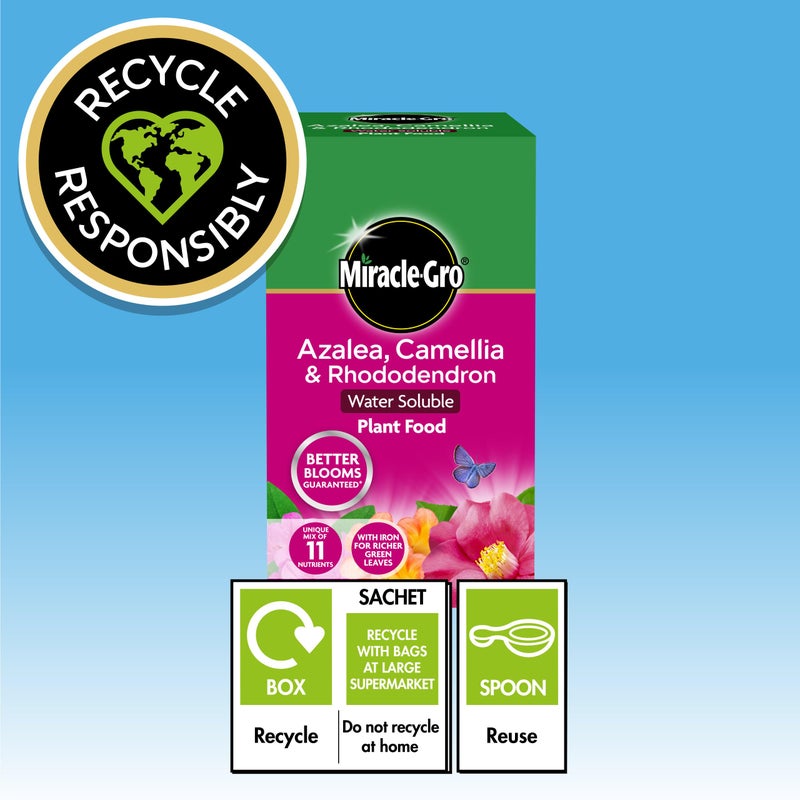 Miracle-Gro 16803 Azalea, Camellia & Rhododendron Soluble Plant Food 1 kg - Image 5