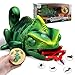 AONTESS Remote Control Chameleon Animal Toys  LED Light Up  Preying Remote Control Electronic Toy with Moving Eyes Walking Color Changing Realistic RC Robot Toy Gift for Boys Kids Age 4 5 6 7 8 Years Old - Image 4