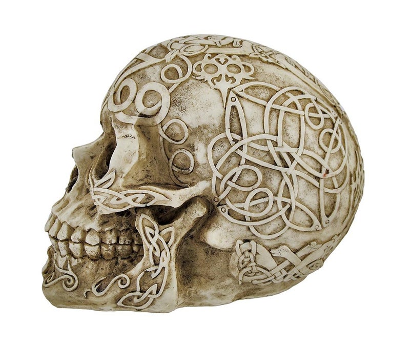 Private Label Celtic Owl Knotwork Human Skull Statue Pagan - Image 2