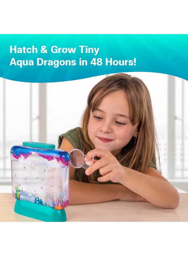 Aqua Dragons AQUA DRAGONS Eggs & Food Combo - Refill for Your Own Tank (1Pack)  - Image 2