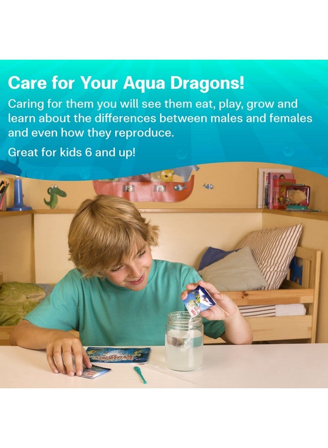 Aqua Dragons AQUA DRAGONS Eggs & Food Combo - Refill for Your Own Tank (1Pack)  - Image 3