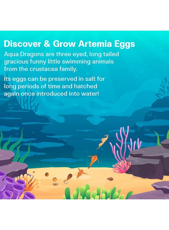 Aqua Dragons AQUA DRAGONS Eggs & Food Combo - Refill for Your Own Tank (1Pack)  - Image 4