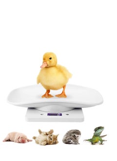 Digital Mini Pet Scale, Small Animal Weight Scale, Portable LCD Electronic Weighing Scale with Tray(Max. 22 lbs), Multifunction Kitchen Scale for Food/Puppy/Kitten/Lizard/Hamster/Tortoise/Whelping