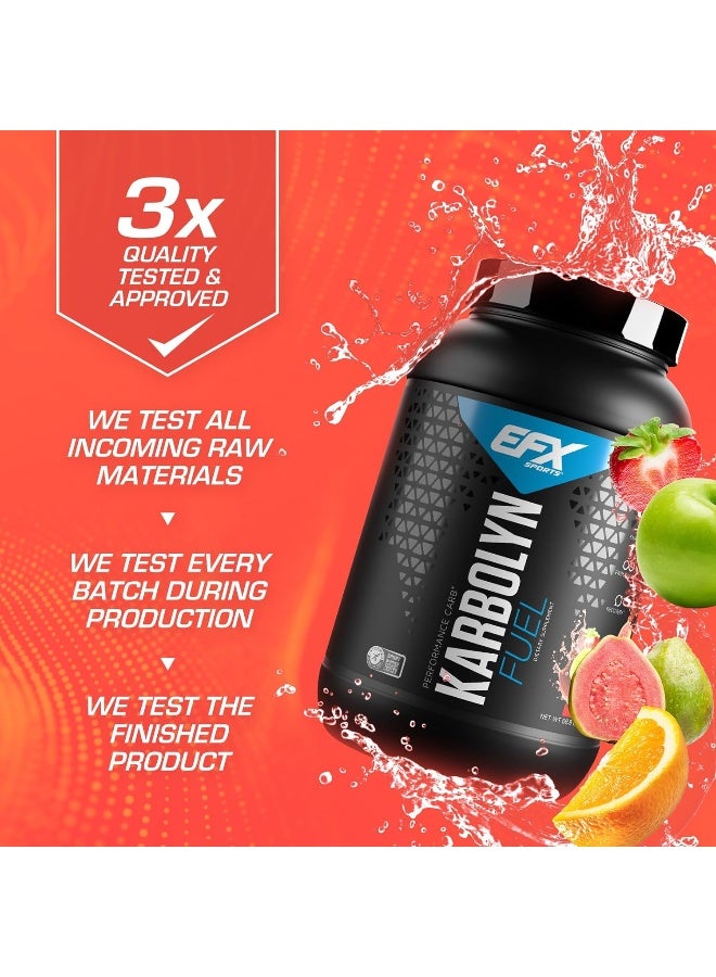 EFX SPORTS Karbolyn Fruit Punch 1950G - Image 2