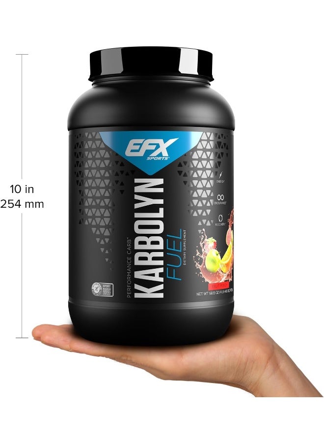 EFX SPORTS Karbolyn Fruit Punch 1950G - Image 3