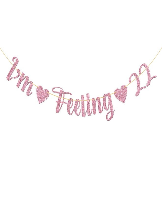 MonMon & Craft I'm Feeling 22 Banner/Girls 22nd Birthday Party Decor/Happy 22nd Birthday Party Decorations Pink Glitter - Image 1