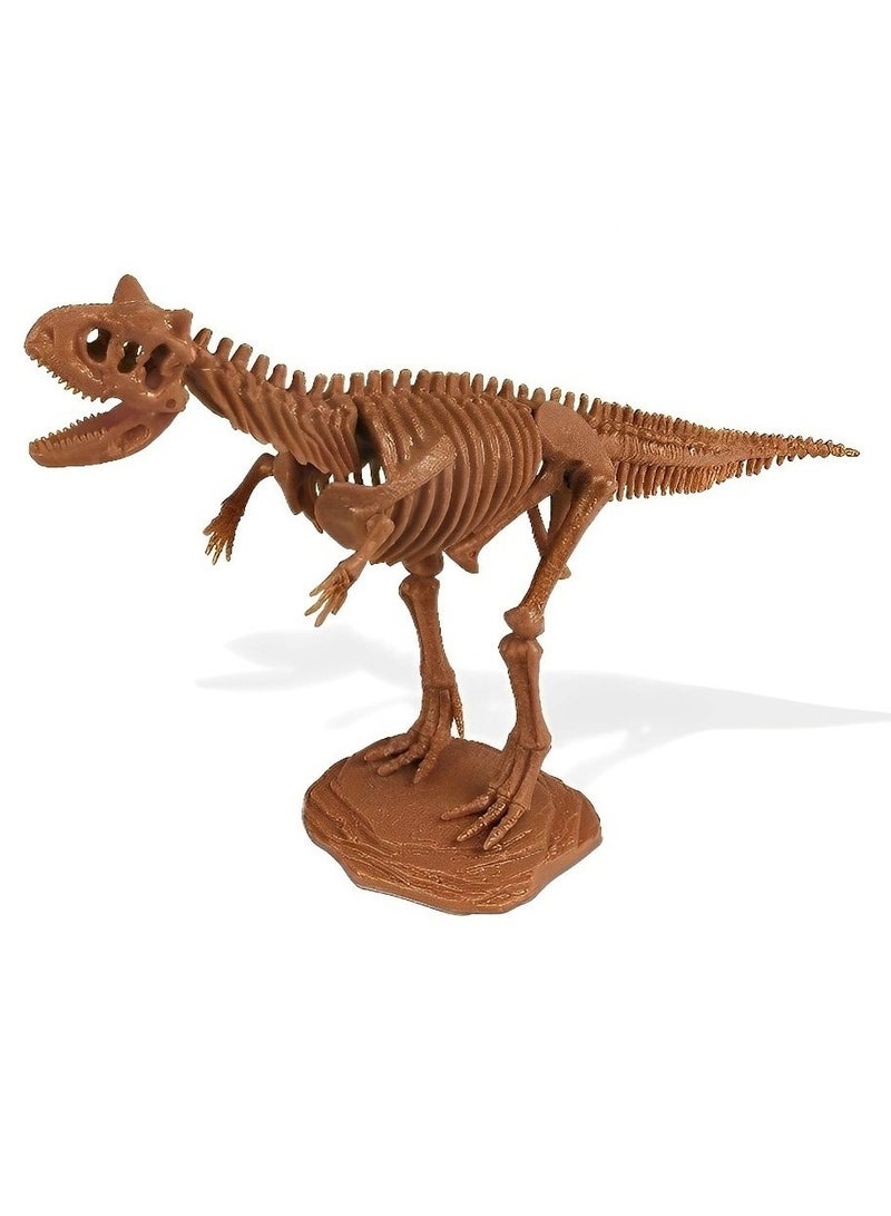 دي آر. ستيف هانترز مجموعة هيكل عظمي 3D Fossil - نموذج هيكل عظمي (كارنوتوروس) ، ألعاب تنقيب تعليمية واقعية وعلمية عالية الجودة للأطفال ، نسخة متماثلة بجودة المتحف ، ممتعة وهدية مذهلة - Image 2