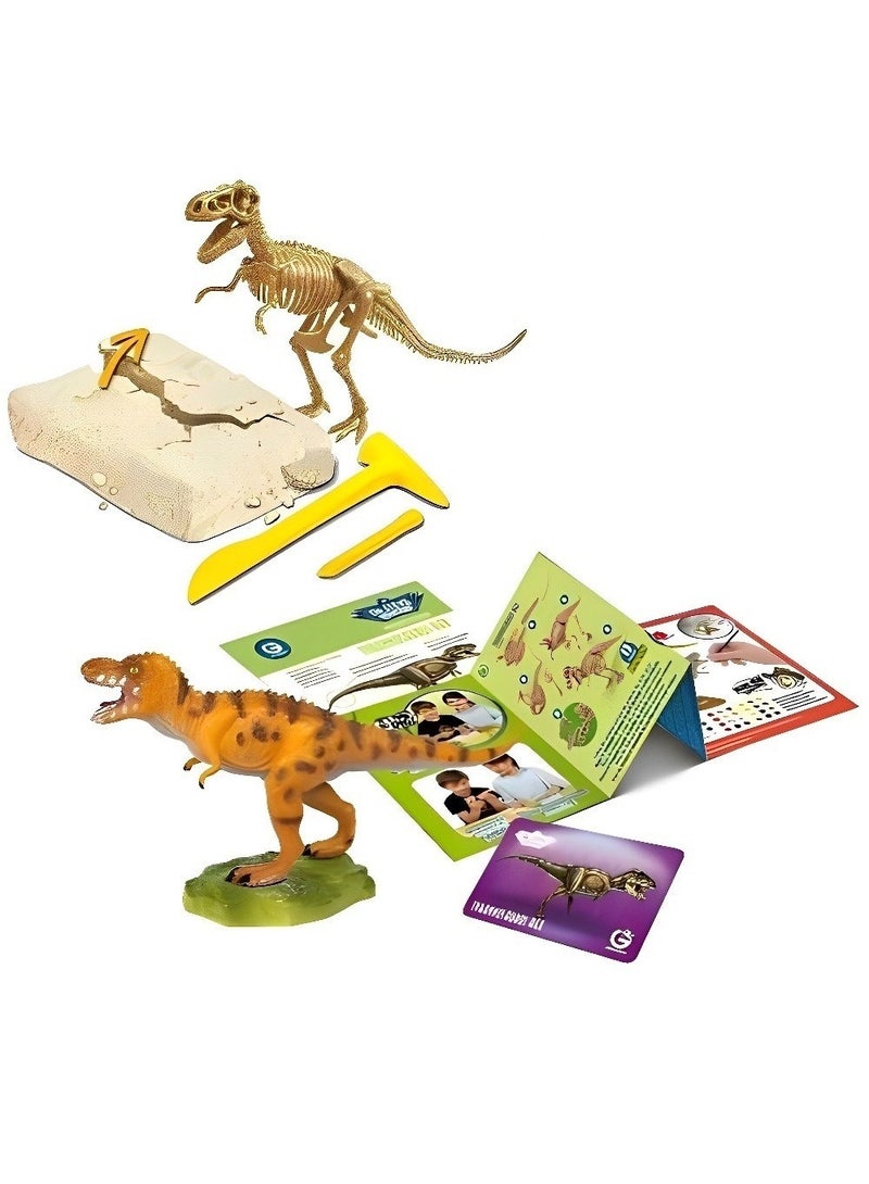 دي آر. ستيف هانترز مجموعة هيكل عظمي 3D Fossil - نموذج هيكل عظمي (كارنوتوروس) ، ألعاب تنقيب تعليمية واقعية وعلمية عالية الجودة للأطفال ، نسخة متماثلة بجودة المتحف ، ممتعة وهدية مذهلة - Image 4