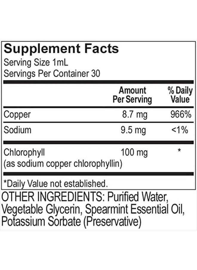 Liquid Chlorophyll Natural Dietary Supplement, 1 Ounce - pzsku/ZDB83D02DA693D755079FZ/45/_/1683615614/6a1f34cc-ae1c-4b20-b1c7-ea3210e23a10