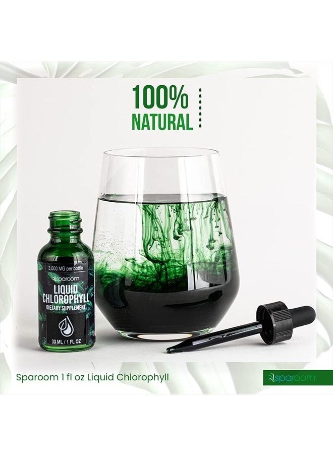 Liquid Chlorophyll Natural Dietary Supplement, 1 Ounce - pzsku/ZDB83D02DA693D755079FZ/45/_/1683615615/4150319a-1a00-4d38-9071-9361e80a1531