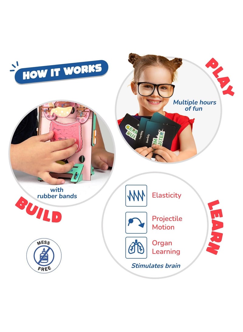 Smartivity Human Body Toy for Kids 6-12 Years | Body Organs & Functions | Best Birthday Gift for Boys & Girls | DIY STEM Educational Science Project Model for Kids 6,7,8,9,10,11,12 Years Old - Image 5