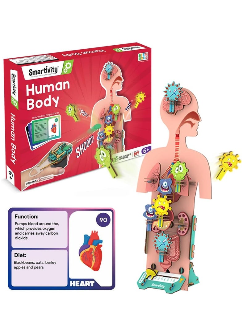Smartivity Human Body Toy for Kids 6-12 Years | Body Organs & Functions | Best Birthday Gift for Boys & Girls | DIY STEM Educational Science Project Model for Kids 6,7,8,9,10,11,12 Years Old - Image 1