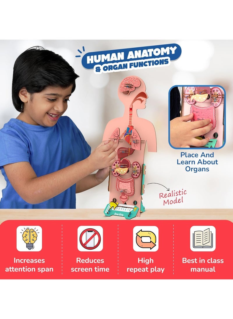 Smartivity Human Body Toy for Kids 6-12 Years | Body Organs & Functions | Best Birthday Gift for Boys & Girls | DIY STEM Educational Science Project Model for Kids 6,7,8,9,10,11,12 Years Old - Image 2