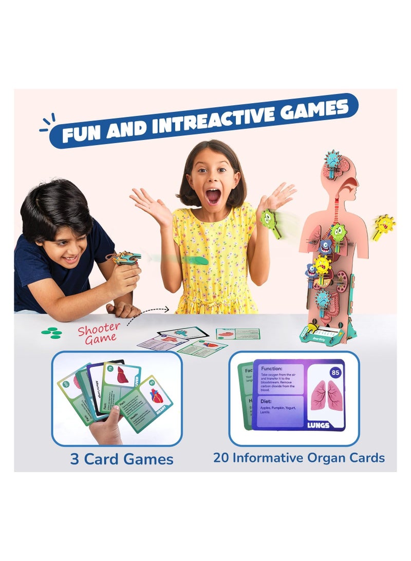 Smartivity Human Body Toy for Kids 6-12 Years | Body Organs & Functions | Best Birthday Gift for Boys & Girls | DIY STEM Educational Science Project Model for Kids 6,7,8,9,10,11,12 Years Old - Image 3