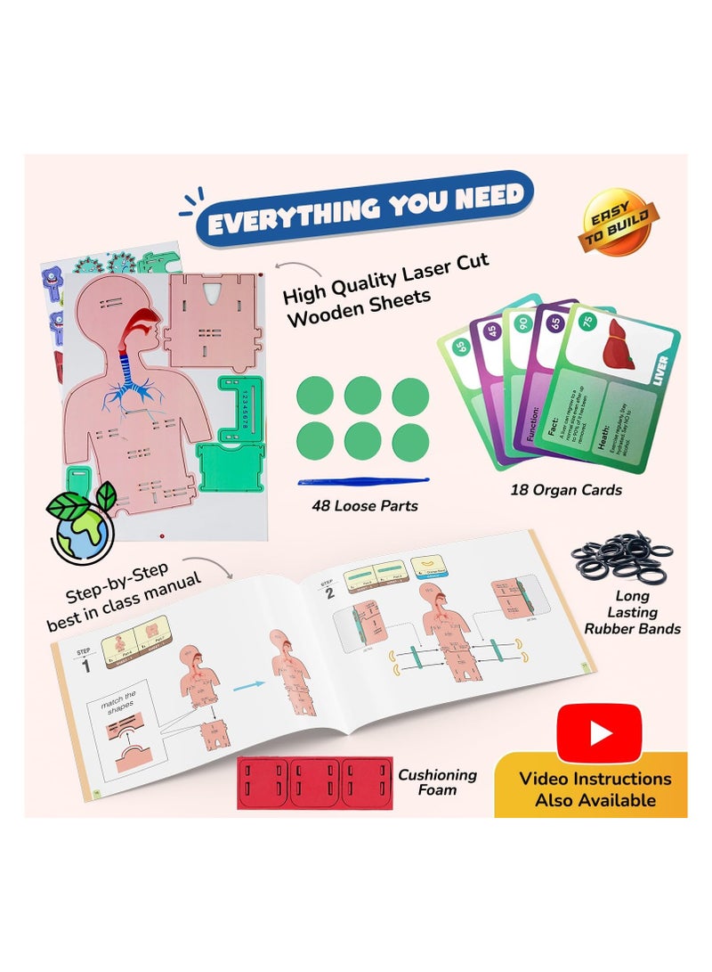 Smartivity Human Body Toy for Kids 6-12 Years | Body Organs & Functions | Best Birthday Gift for Boys & Girls | DIY STEM Educational Science Project Model for Kids 6,7,8,9,10,11,12 Years Old - Image 4