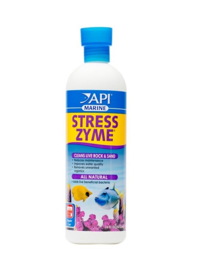 ايه بي آي إي بي آي مارين ستريس زيم 16 أونصة