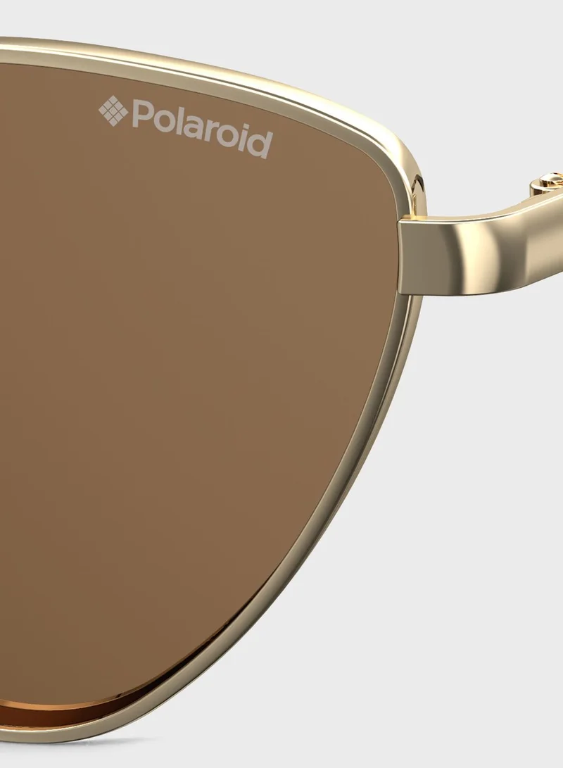 Polaroid Pld 6071/S/X Sunglasses