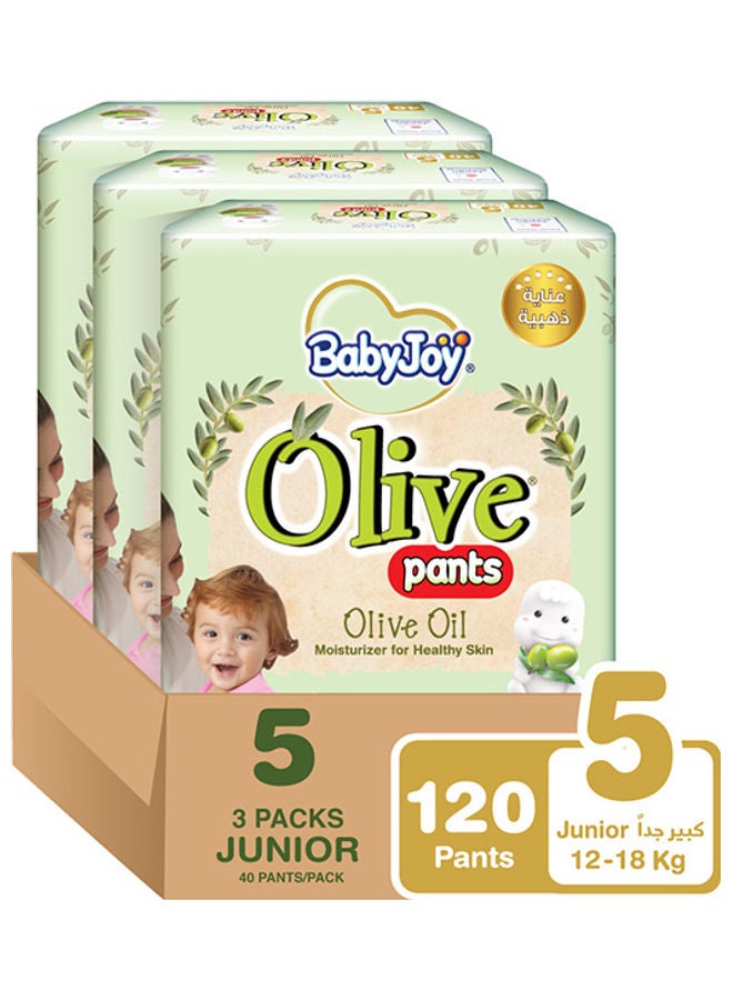 BabyJoy Olive Pants, Size 5, Junior, 12-18 Kg, Mega Box, 120 Diapers Pack Of 3