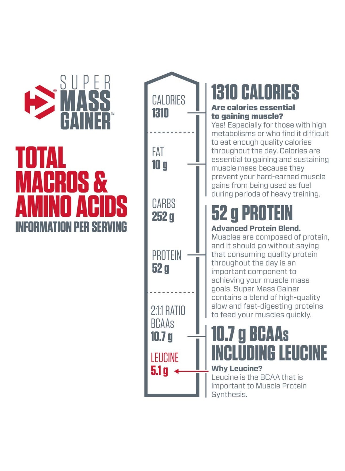 Super Mass Gainer High Protein And Carb Blend Dietary Supplement, Rich Chocolate, 6Lb