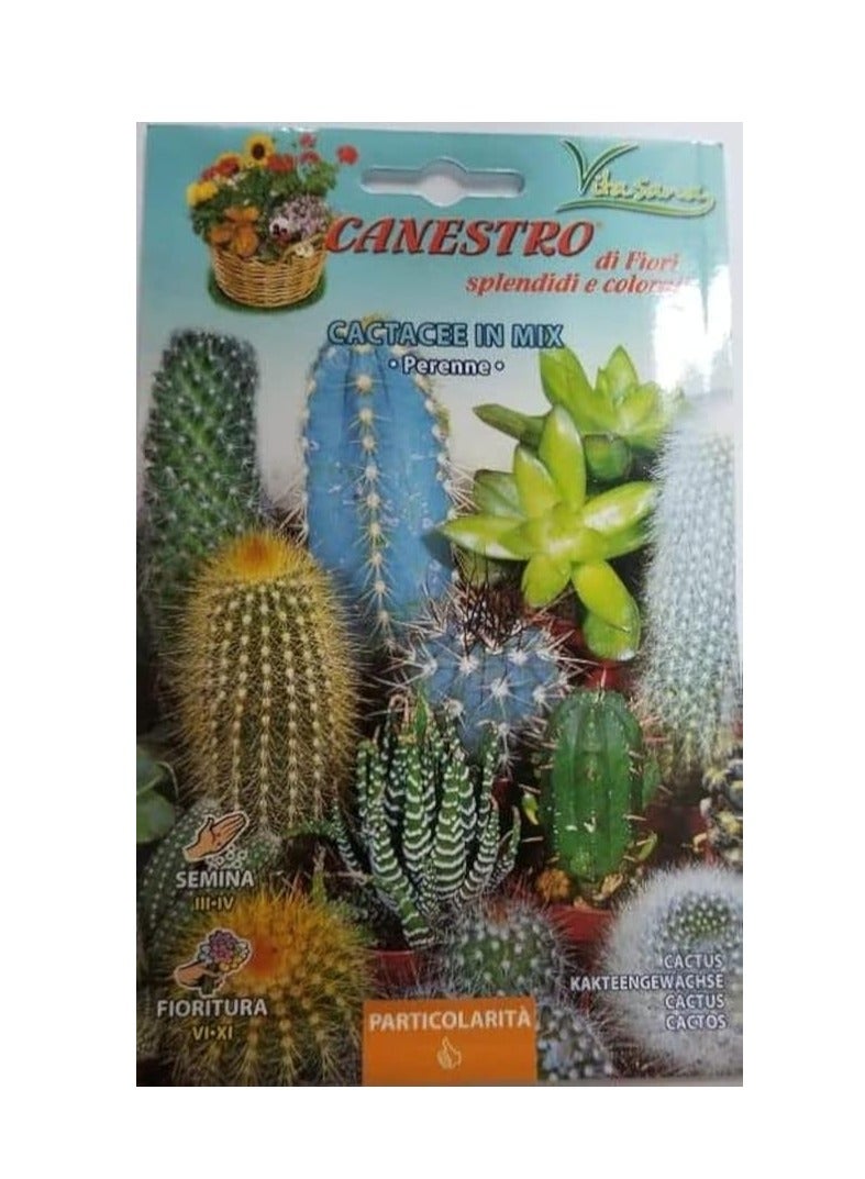 Beauenty Fito Cactacee In Mix Premium Quality Seeds by Fito