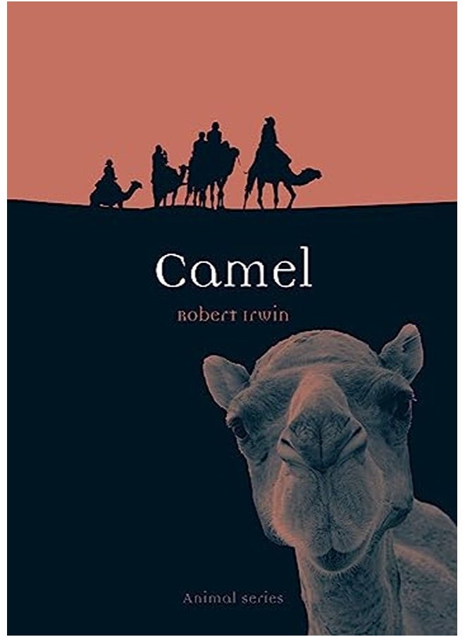 null - Camel (Animal) - Image 1