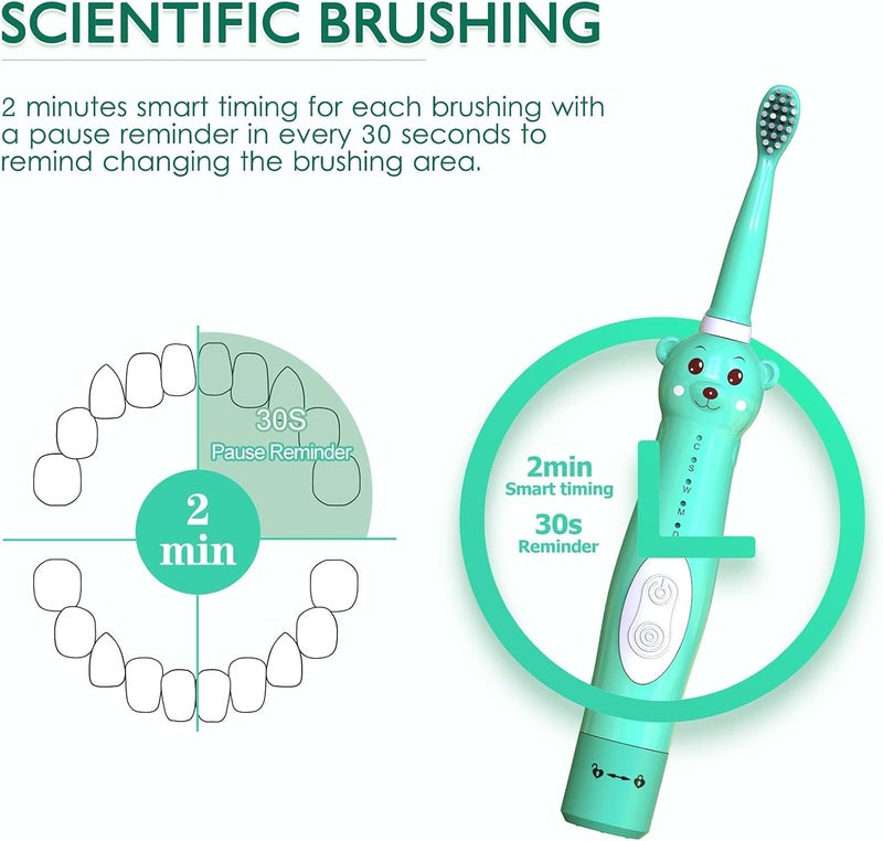 Luckam فرشاة أسنان كهربائية سونيك للأطفال، فرشاة أسنان دب لطيفة قابلة لإعادة الشحن للأطفال، الأولاد والبنات من عمر 3-12 مع تذكير 30 ثانية، مؤقت 2 دقيقة، 5 أوضاع، 4 رؤوس فرشاة، فرشاة أسنان دب - Image 3