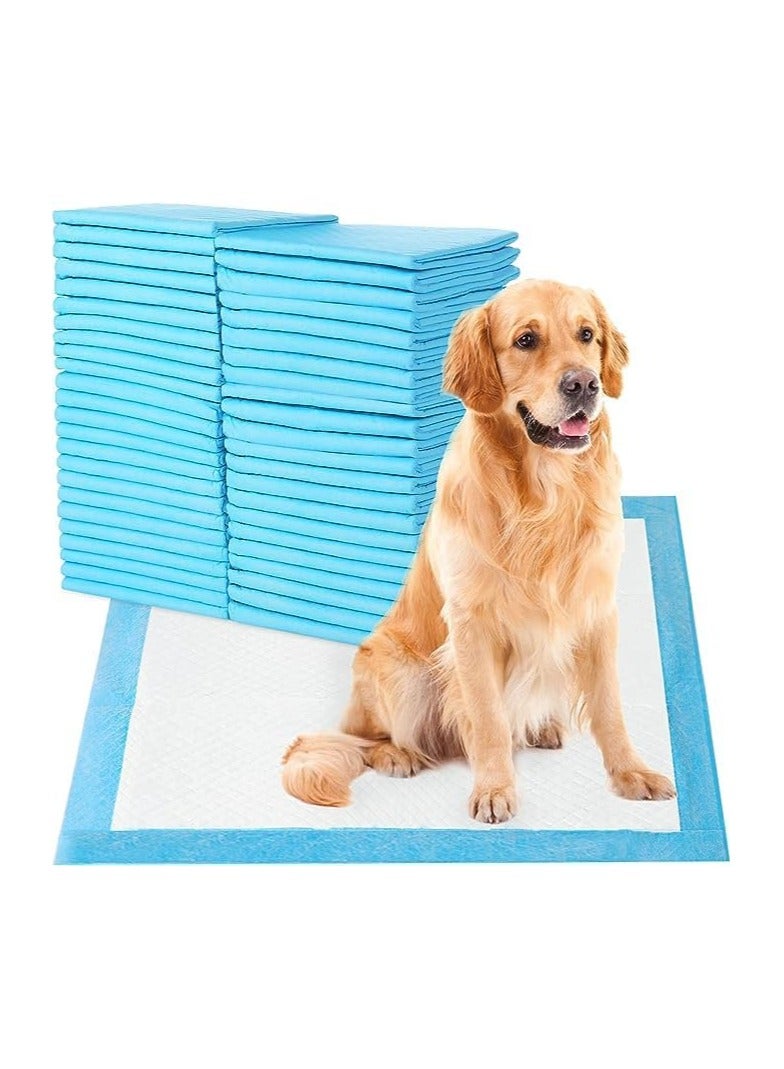 BLOOMING TIME 40-Piece Pet Diaper Training Pad White/Blue - Image 2
